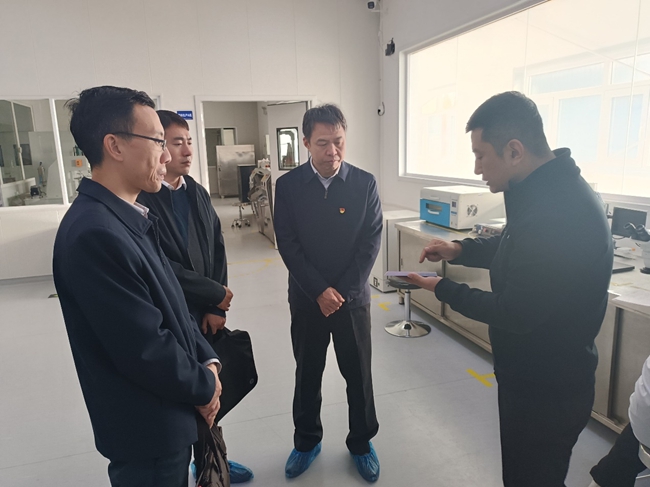 国资委党委主题教育督导组赴完美网页版纳微调研指导工作