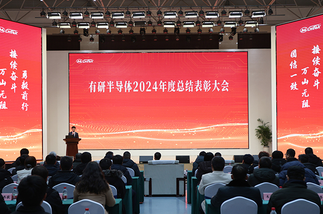完美网页版半导体召开2024年度总结表彰大会